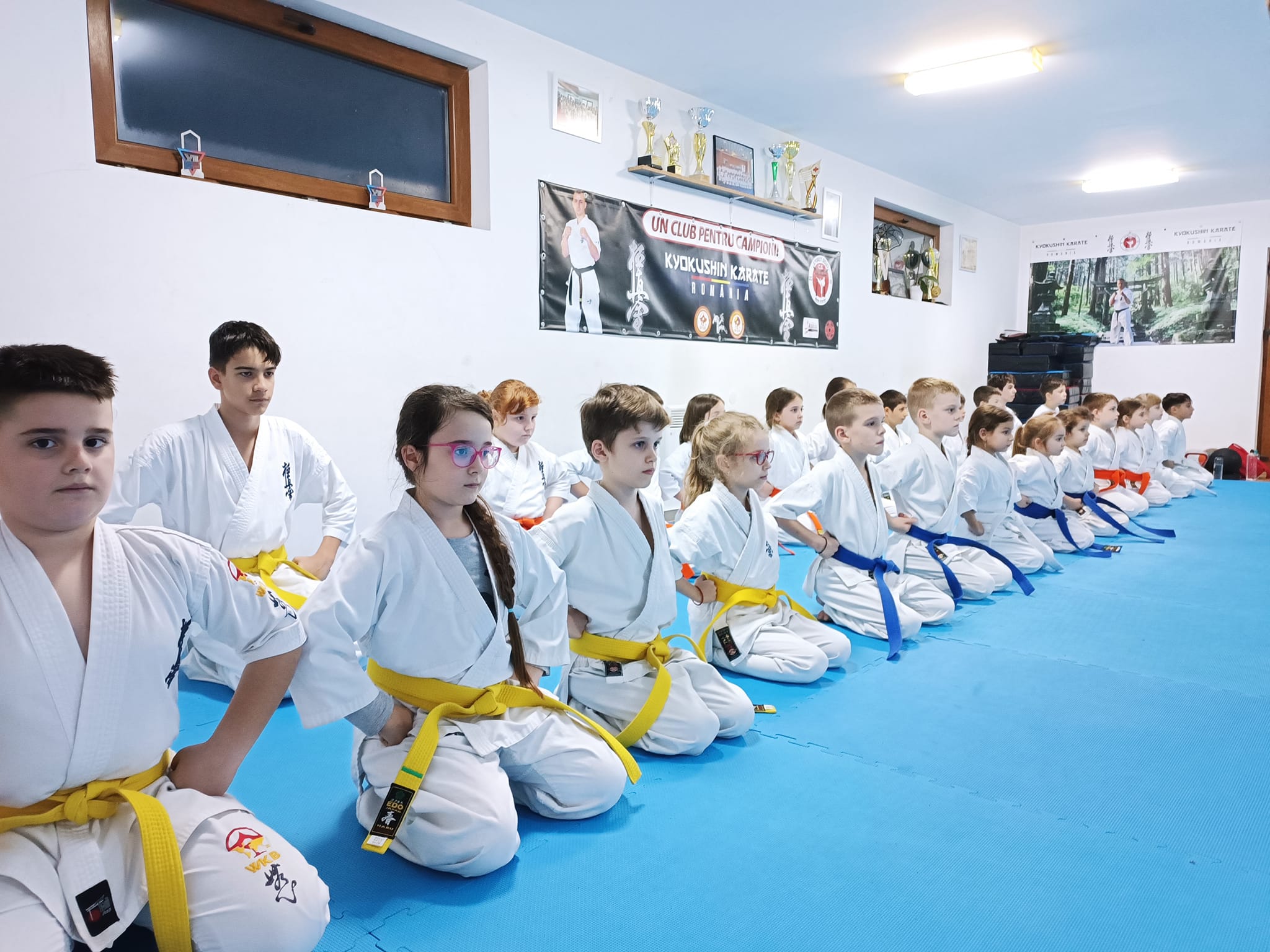 429918623_2356613724536505_7700143481375988635_n