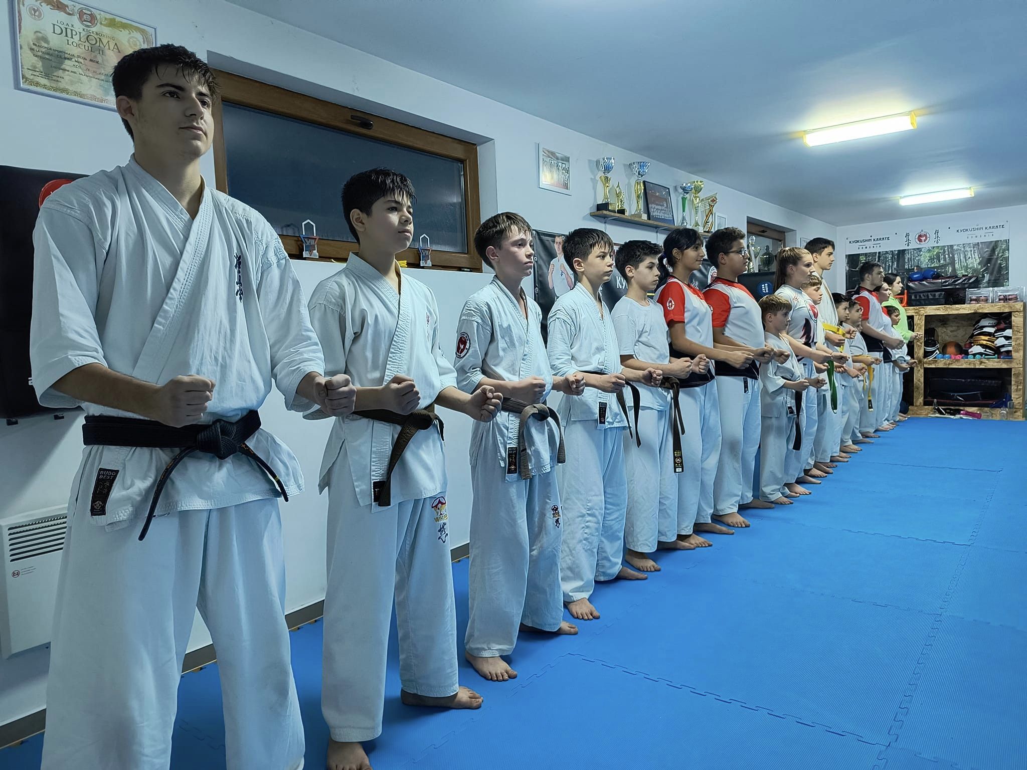 434731331_2376922765838934_5821478879030198126_n